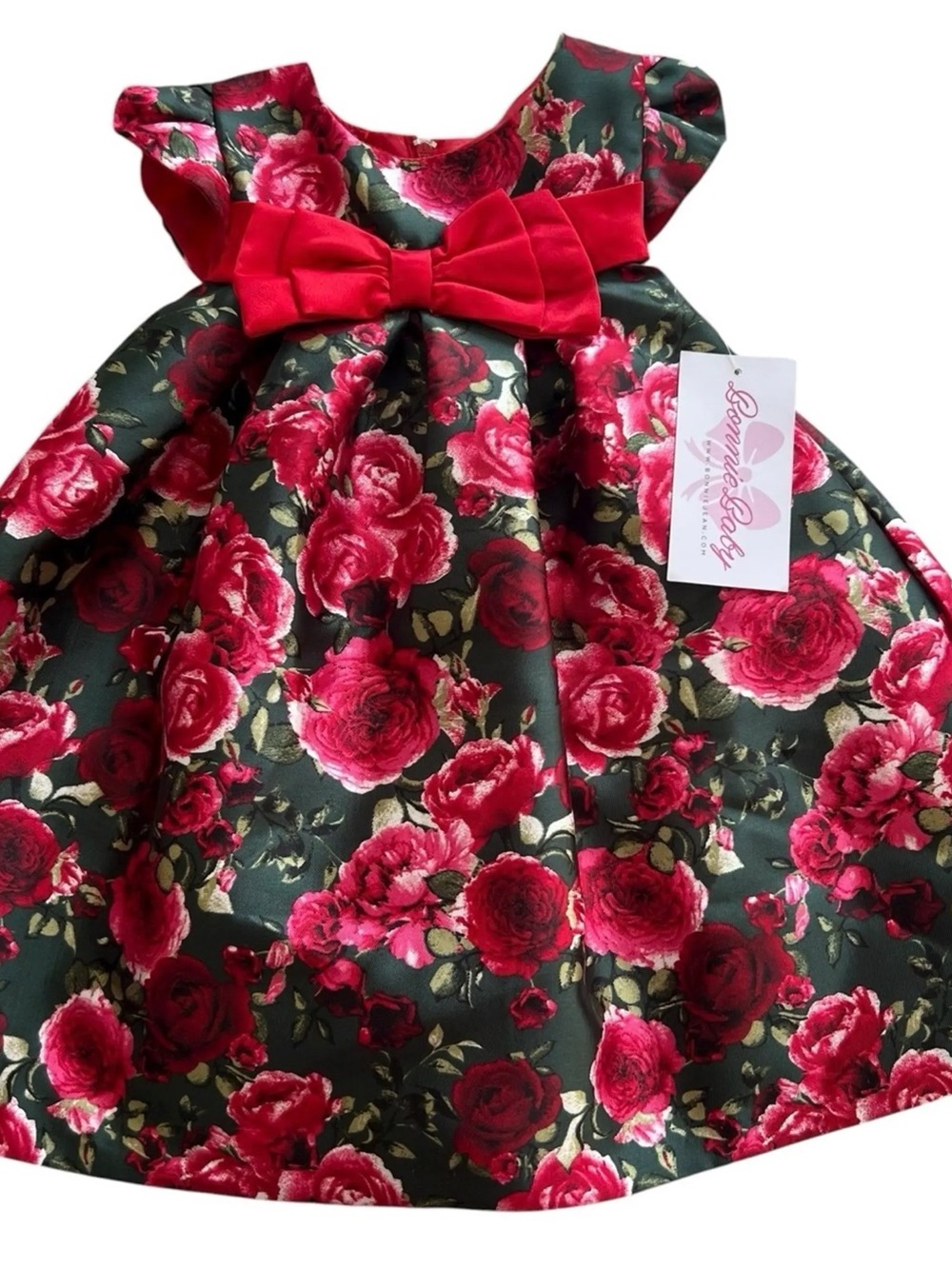 Bonnie Baby Green Dress with Red Rose Print and Bow